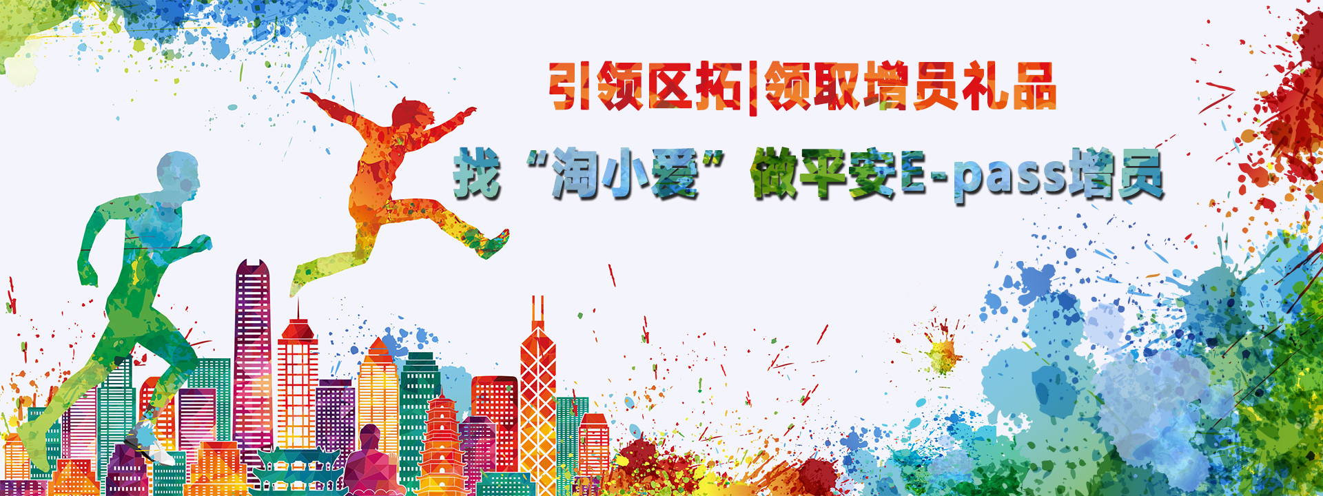 专业代做平安Epass