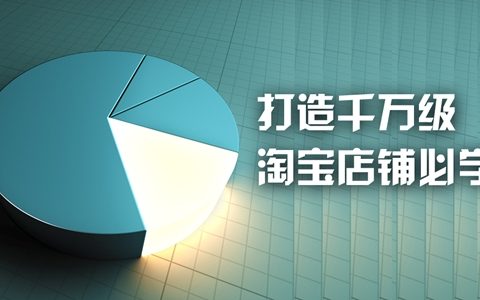 零基础无经验成为淘宝运营高手教材（上篇）