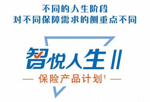平安人寿保险E行销智悦人生产品卖点及异议处理讲解