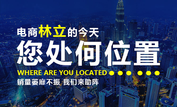 专业代开淘宝店铺独立定制网店装修美工设计模板一条龙服务