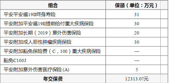 平安人寿保险代理人经验学习保单签收流程及电子保单构成详细讲解