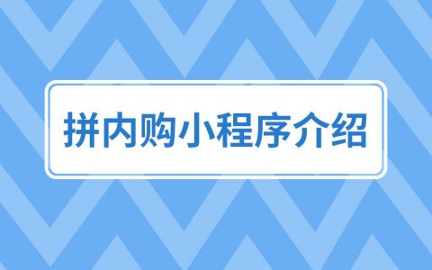 拼多多商家运营技巧拼内购小程序详细介绍