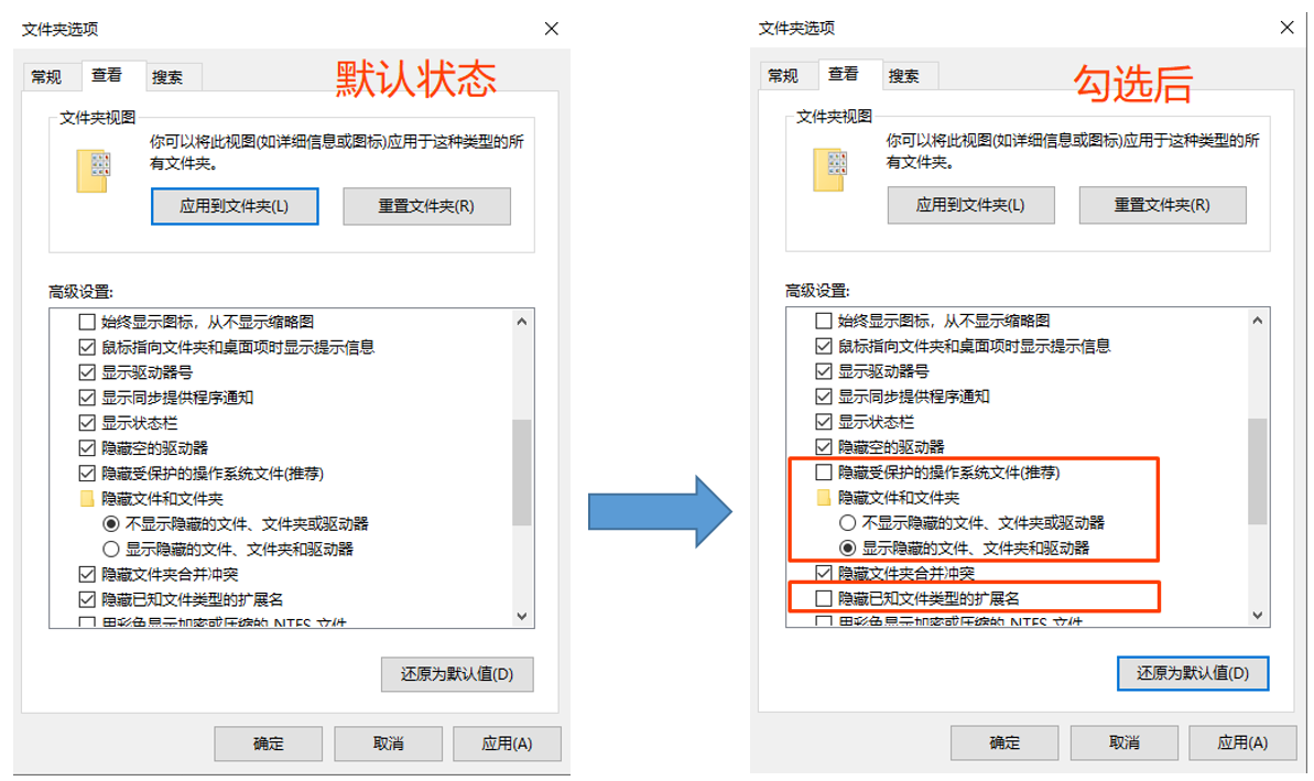 最新win10windows11查看电脑系统隐藏文件及文件夹操作教程