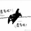 Unlock的头像