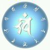 千叶莲的头像