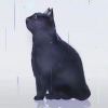 Jk.H的头像