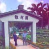 专业UV3D打印的头像